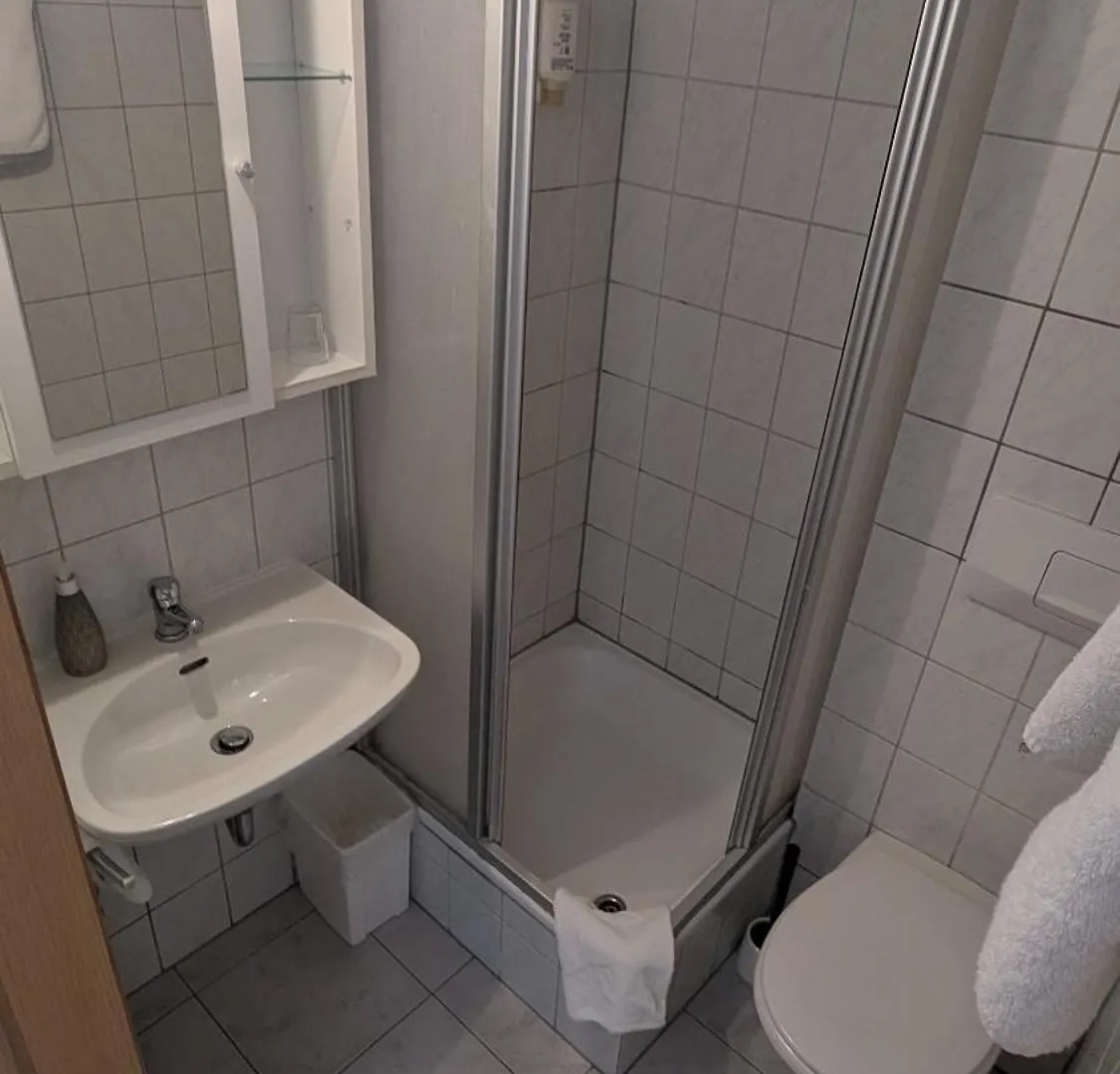 Bed & Breakfast Gasthof Hotel Rose Obereisenheim